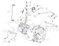 -8G Motor X-Bongo