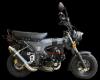 Artikelbild 1 des Artikels “Auspuff V2A-Carbon-Style BS1019 untenliegend Skymax & Le Mans “