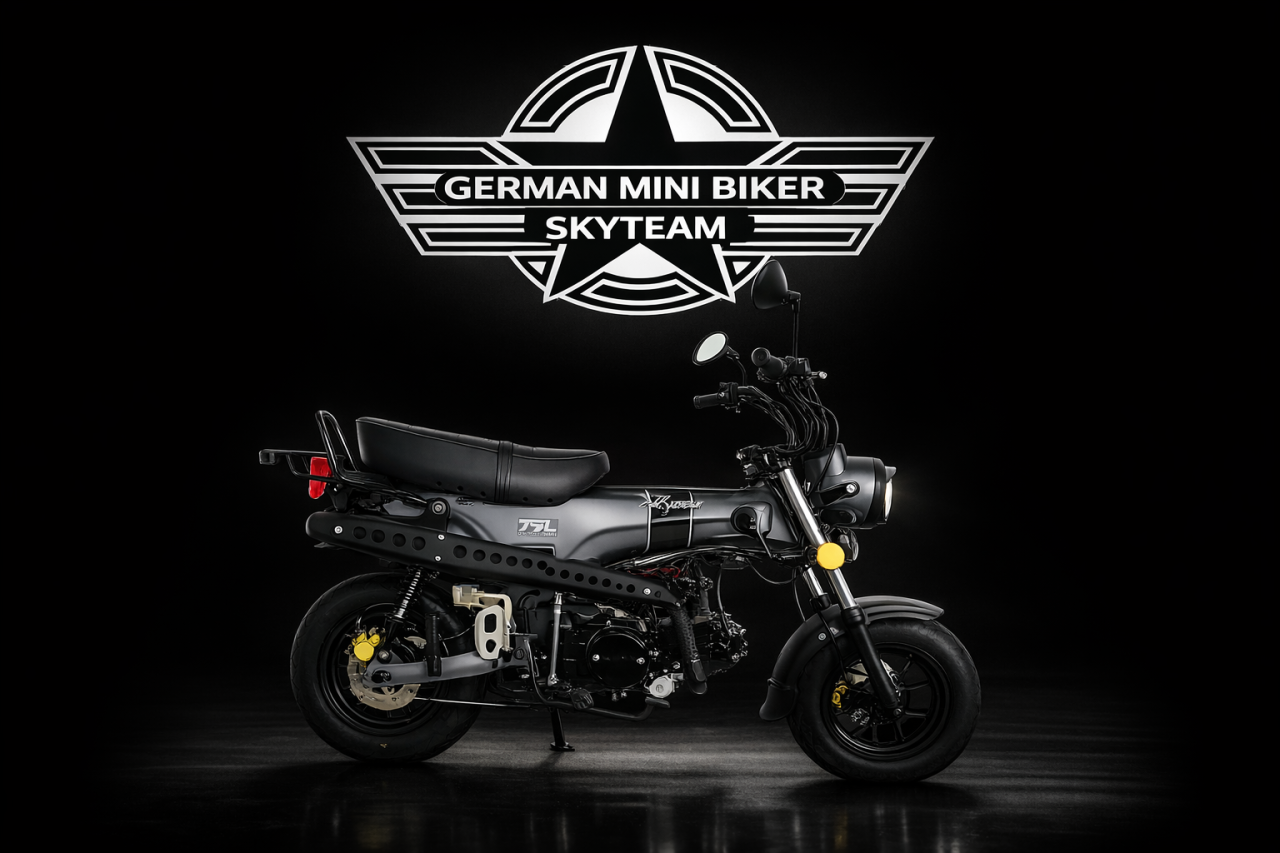 SKYTEAM SKYMAX 125-6 CLUB-S E5+ INJECTION de LUXE MATT-TITAN 