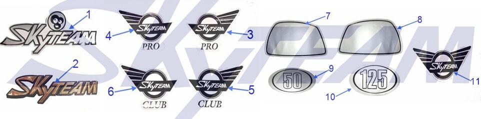 Skyteam Emblem Gold 1 Stück 