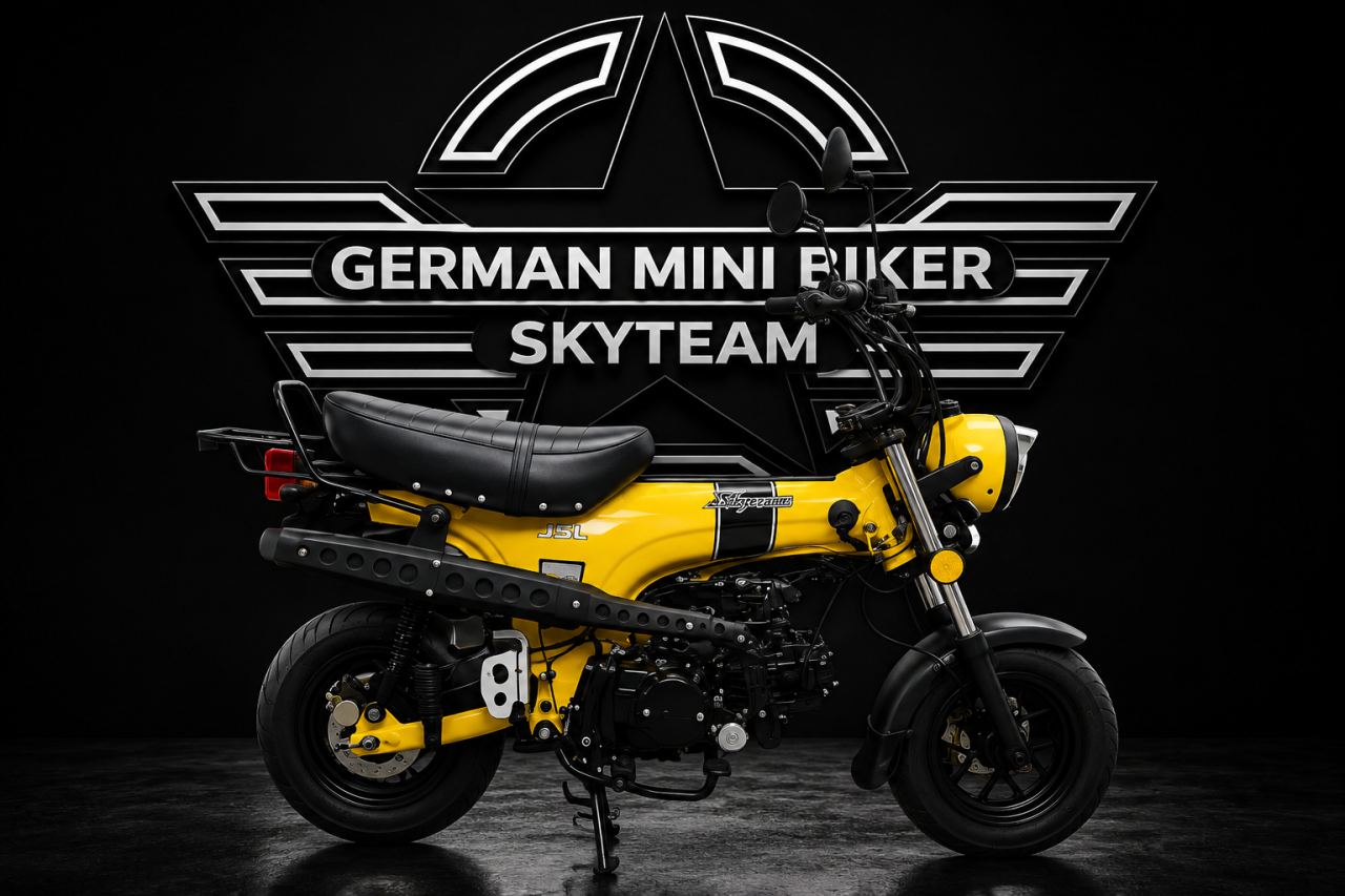 SKYTEAM SKYMAX 125-6 CLUB-S E5+ INJECTION de LUXE NEU MATT-YELLOW 