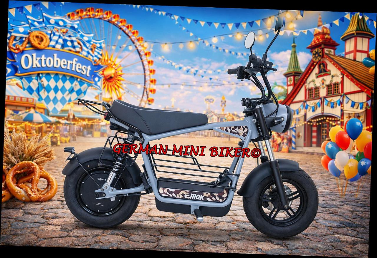 E-Mini 25 Titangrey-Edition MOFA 25 km/h 