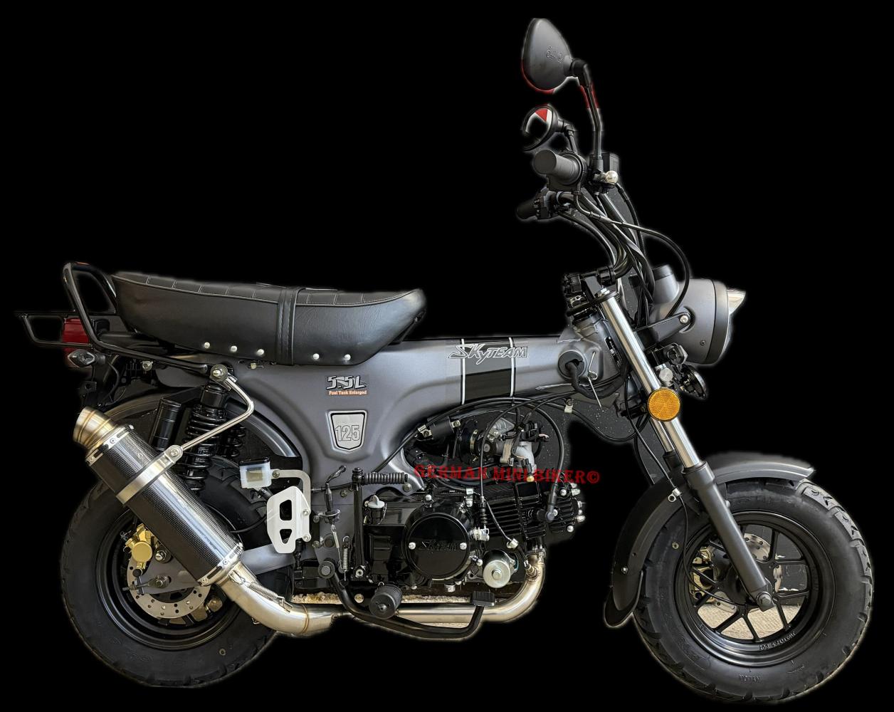 Auspuff V2A-Carbon-Style BS1019 untenliegend Skymax & Le Mans 