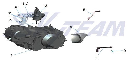 -Trex Schrauben M6/30 2 Stück 125cc 