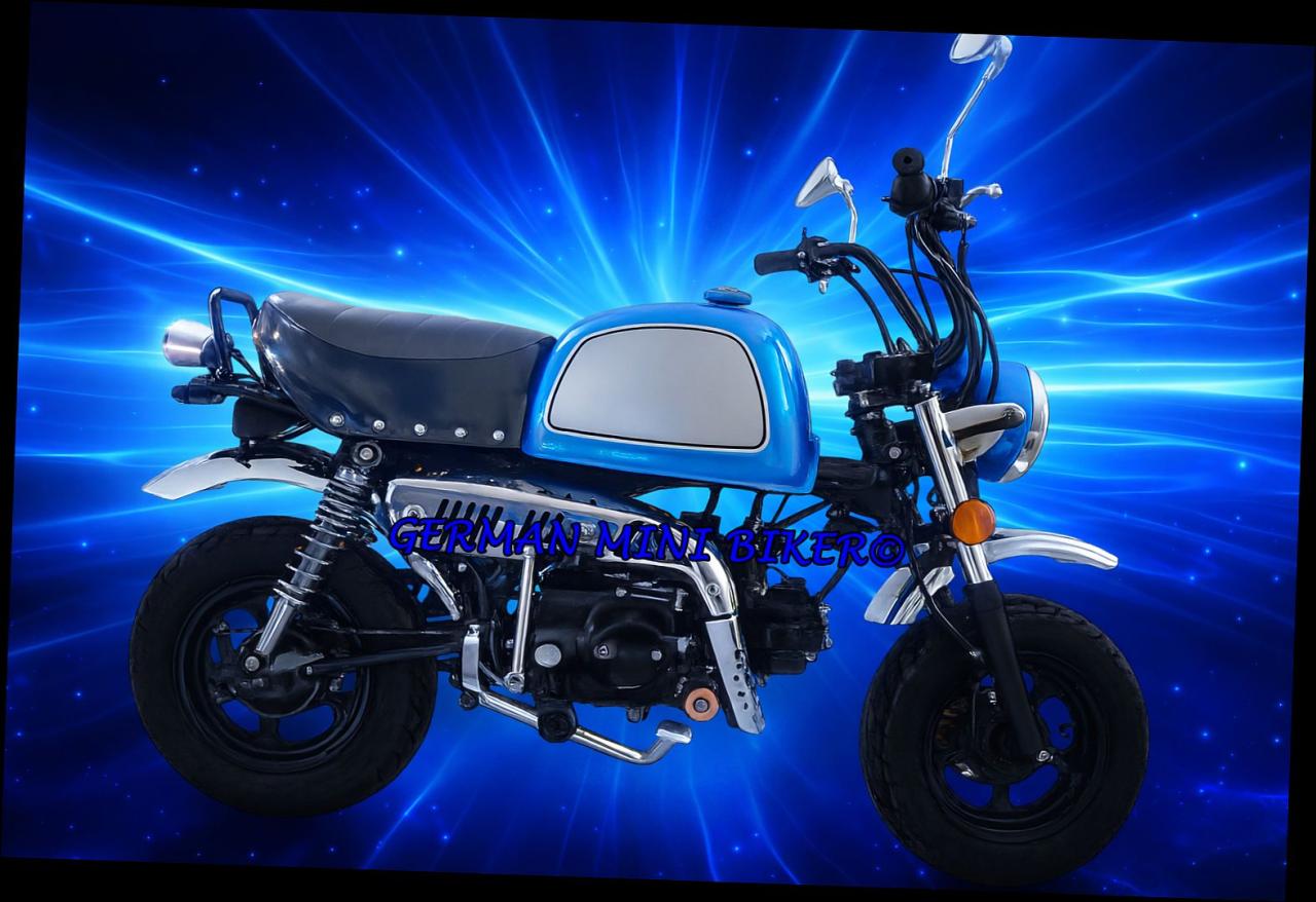 SkyTeam SKYBONGO 50 E5 10zoll Club-Injektion Metallic-Blue-Edition de Luxe 