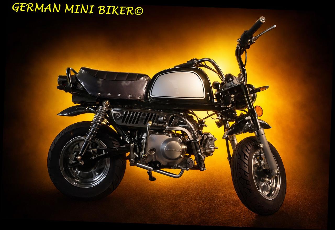 SkyTeam SKYBONGO 50 E5 10zoll Club-Injektion Black-Edition de Luxe 