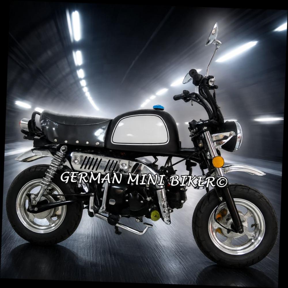 SkyTeam SKYBONGO 50 E5 10zoll Club-Injektion Matt-Black-Edition de Luxe 