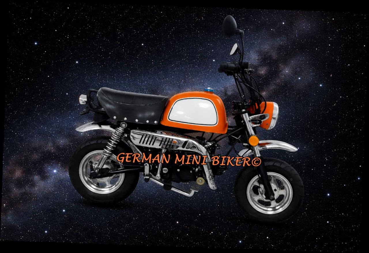 Skyteam SKYBONGO 50 E5 10zoll Club-Injektion Matt-Orange de Luxe 