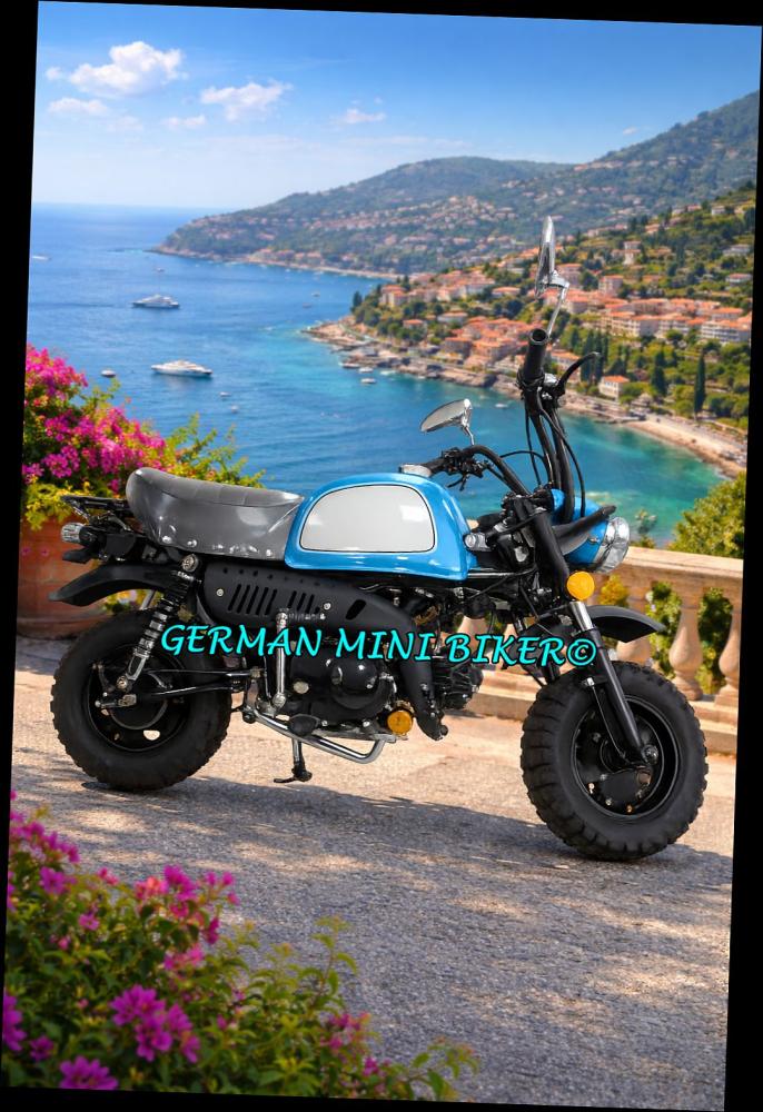 SKYTEAM SKYBONGO 50 E5 CLUB-Injektion Metallic-Blue-Edition de Luxe 