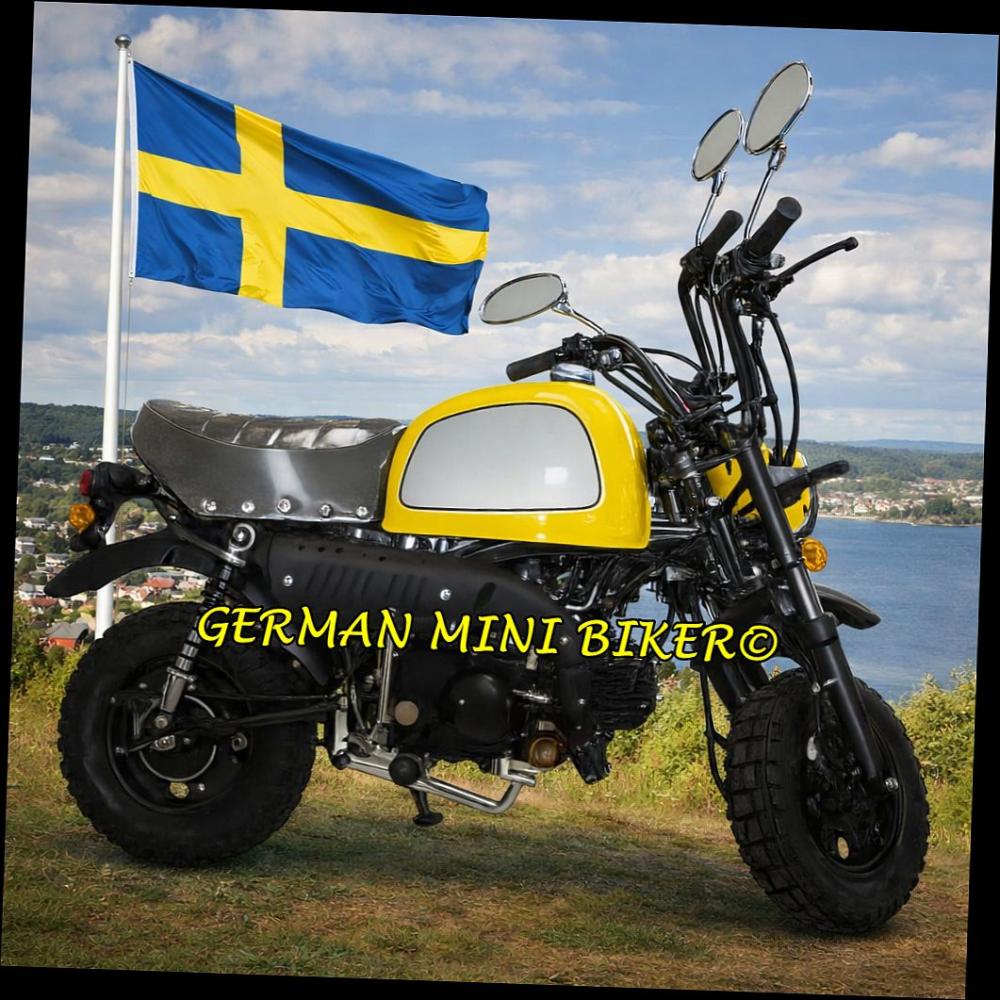 SKYTEAM SKYBONGO 50 E5 CLUB-Injektion Yellow-Edition de Luxe 