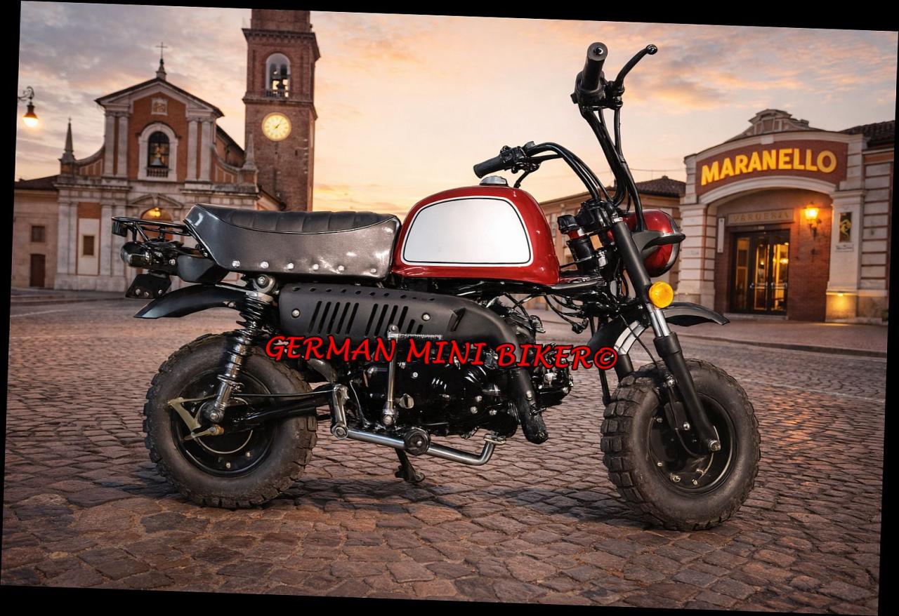 SKYTEAM SKYBONGO 50 E5 CLUB-Injektion Metallic-Red-Edition de Luxe 