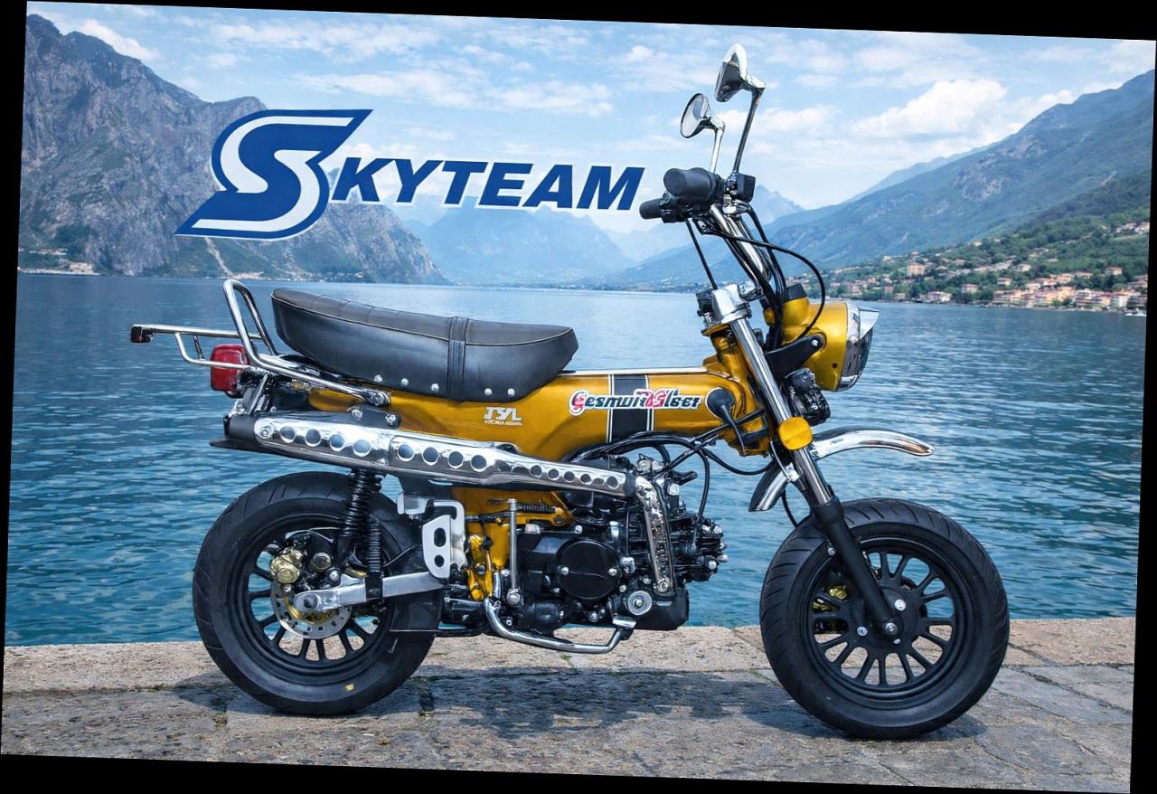 SKYTEAM  SKYMAX 125-6 E5+ 12zoll SPECIAL-EDITION Metallic-Gold 