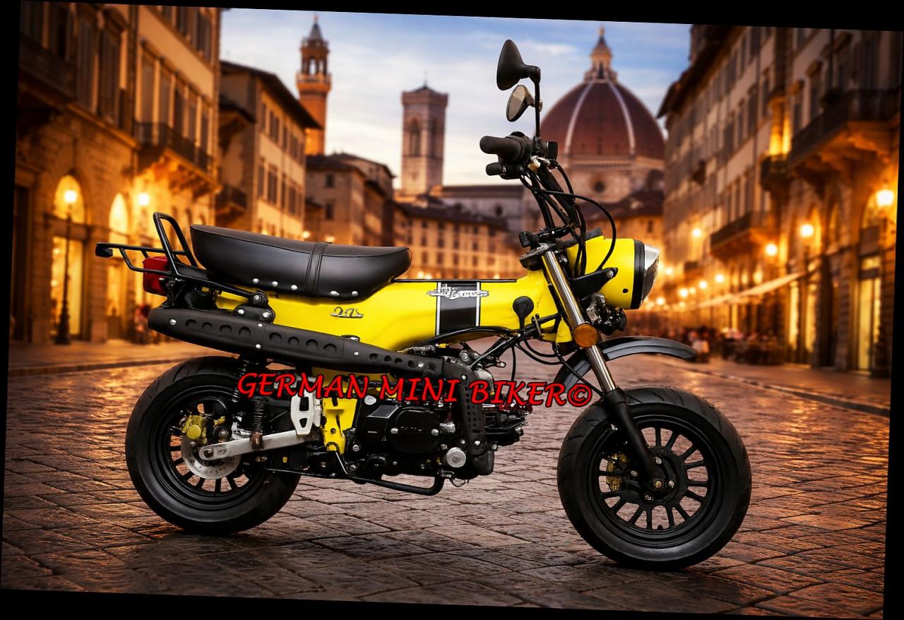 SKYTEAM  SKYMAX 125-6 E5+ 12zoll SPECIAL-EDITION Matt-Gelb 