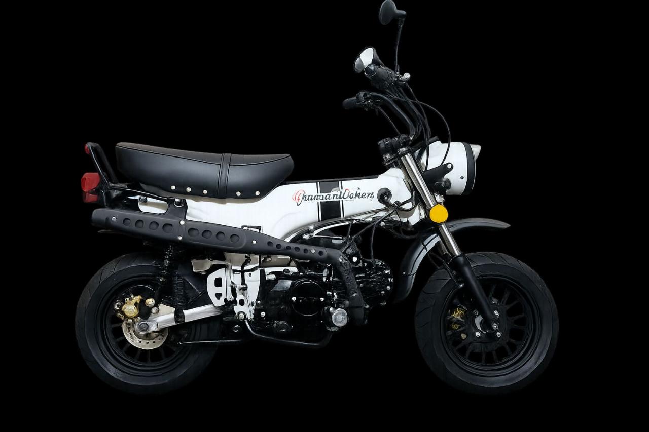 SKYTEAM - SKYMAX 50 E5 12zoll SPECIAL-EDITION INJECTION 