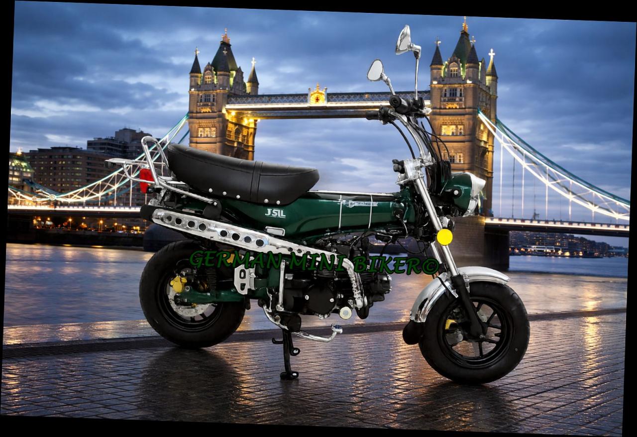 SKYTEAM  SKYMAX 125-6 CLUB-S E5+ INJECTION de Luxe METALLIC-RACING-GREEN 