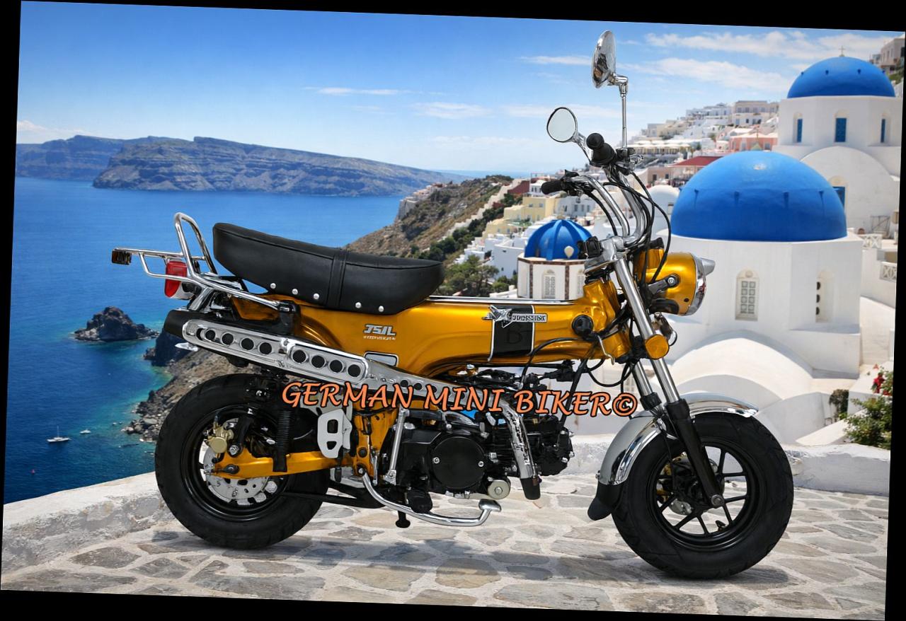 SKYTEAM  SKYMAX 125-6 CLUB-S E5+ INJECTION de LUXE METALLIC-GOLD Sitz in Schwarz