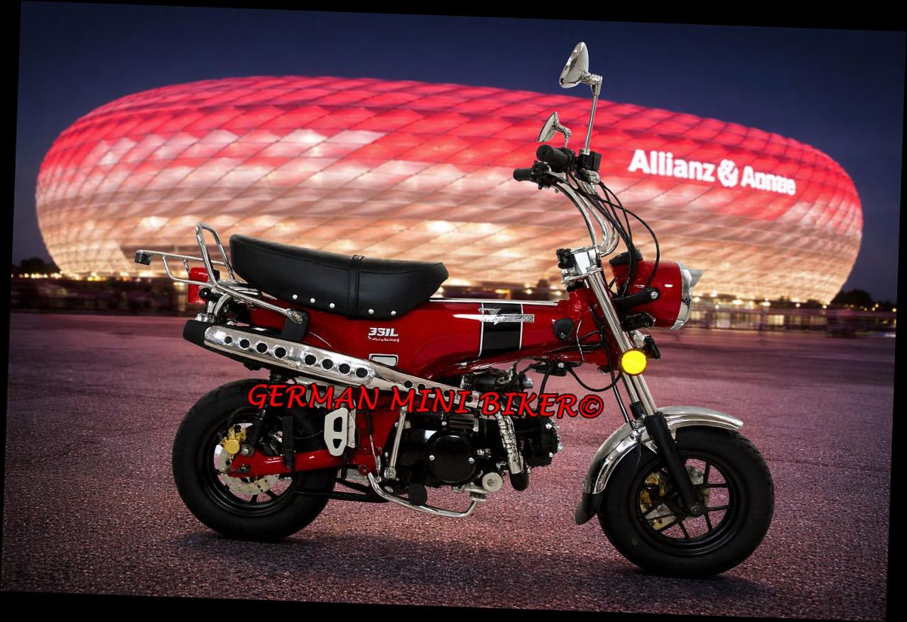 SKYTEAM  SKYMAX 125-6 CLUB-S E5+ INJECTION de LUXE METALLIC-RED Sitz in Schwarz