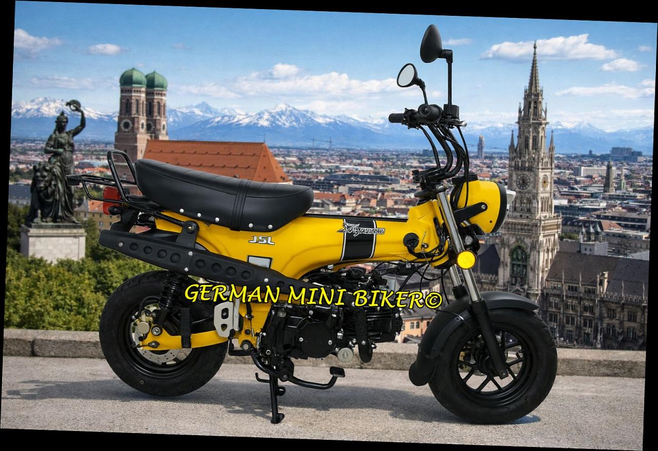 SKYTEAM SKYMAX 125-6 CLUB-S E5+ INJECTION de LUXE NEU MATT-YELLOW 