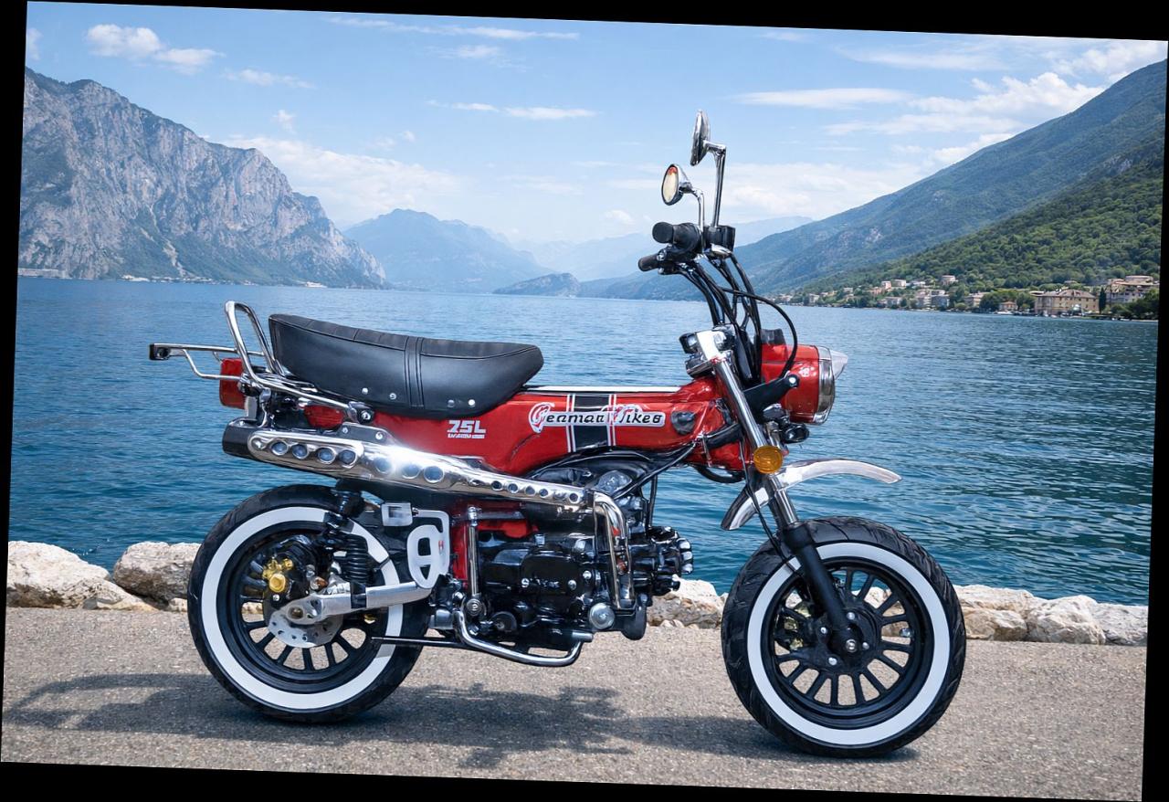 SKYTEAM  SKYMAX 125-6 E5+ 12zoll SPECIAL-EDITION Metallic-Rot 