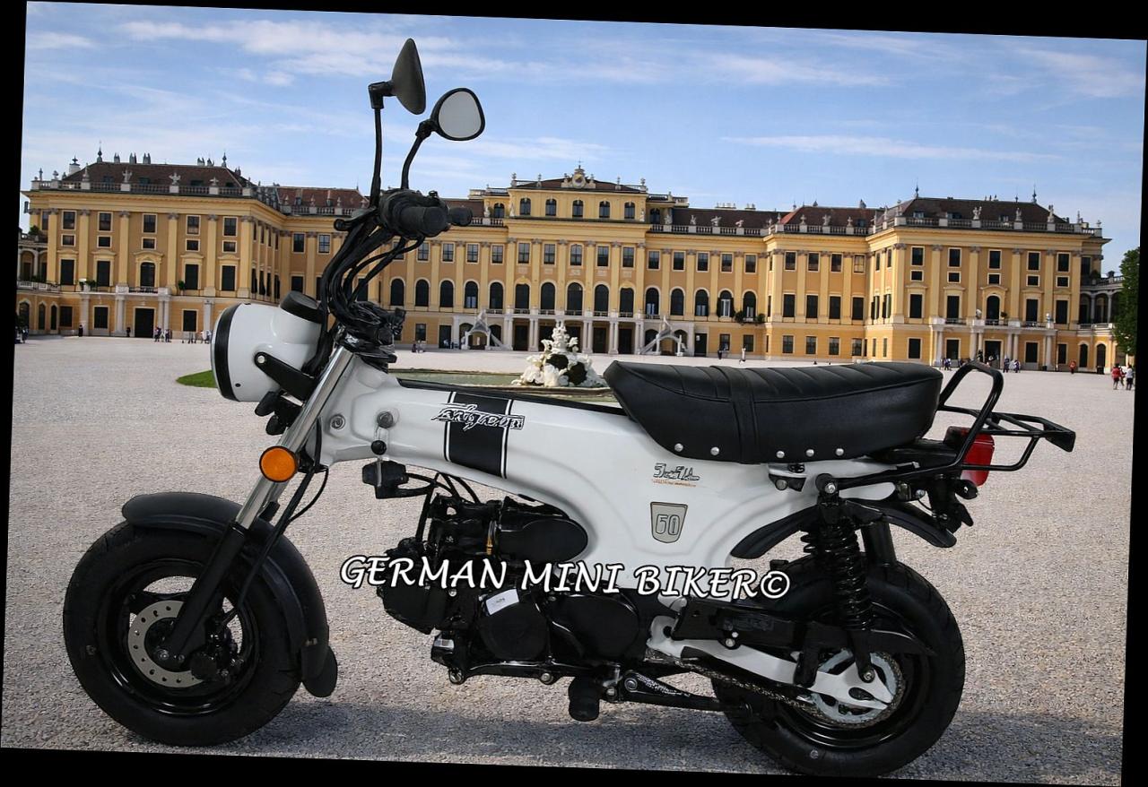 SKYTEAM - SKYMAX 50 Matt-Weiss E5 CLUB-S Injektion 