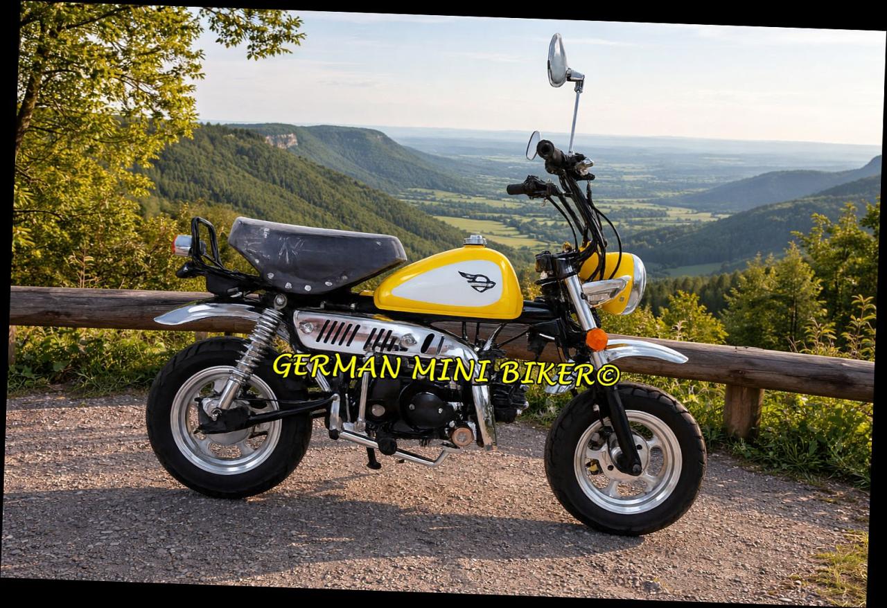 SkyTeam SKYMINI 50 E5 10" Special-Edition-Injektion Yellow-Edition de Luxe 