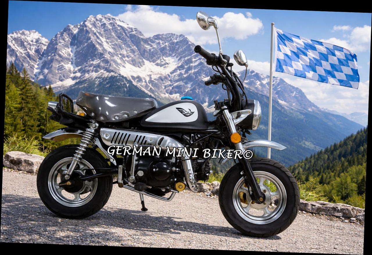 SkyTeam SKYMINI 50 E5 10" Special-Edition-Injektion Matt-Black-Edition de Luxe 