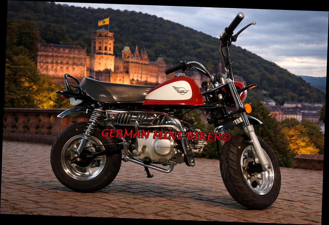 SkyTeam SKYMINI 50 E5 10" Special-Edition-Injektion Metallic-Red-Edition de Luxe 