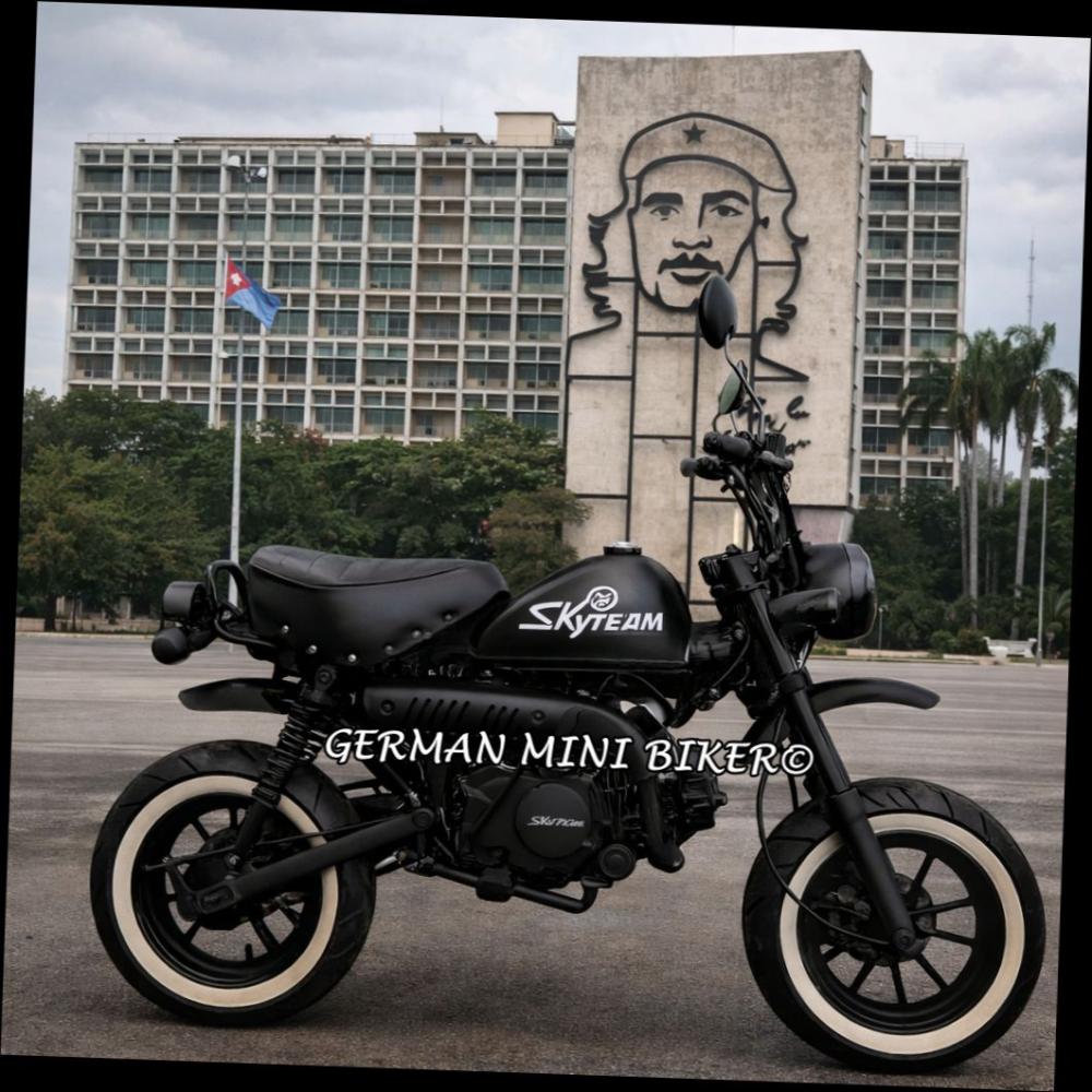 SKYTEAM SKYMINI 50 12zoll Inj. E5 SPECIAL-EDITION MATT-BLACK 