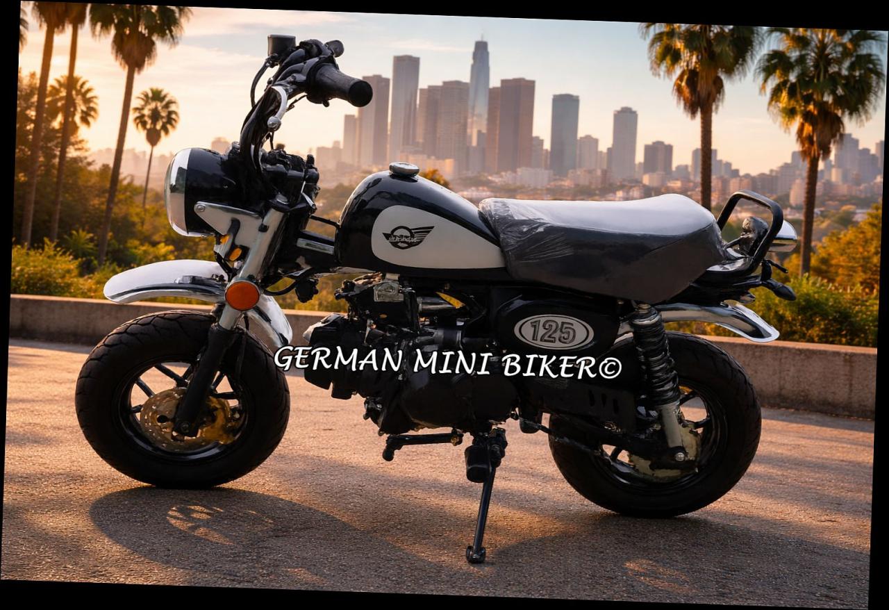 SKYTEAM SKYMINI 125-8 E5+ CLUB-S INJECTION de Luxe BLACK 