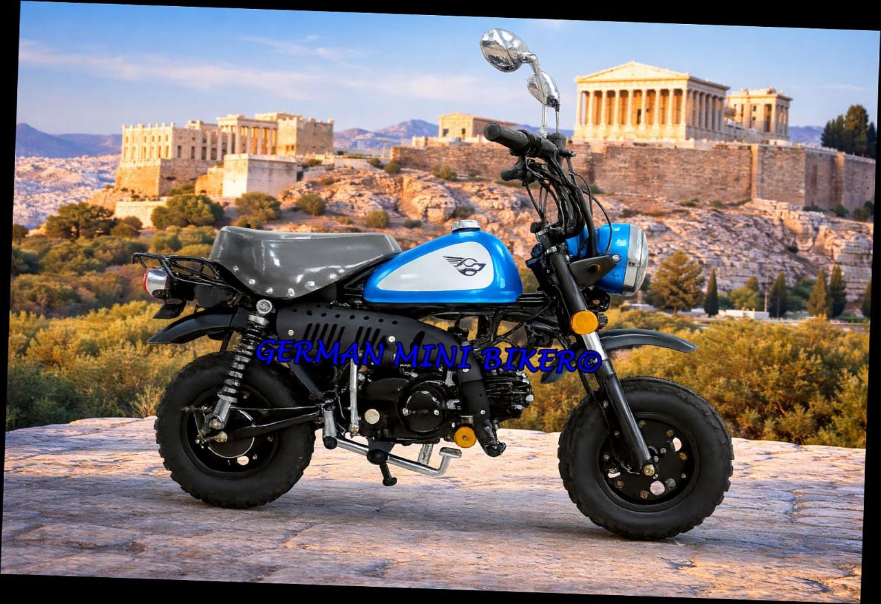 SkyTeam SKYMINI 50 E5 CLUB-Injektion Metallic-Blue de Luxe 