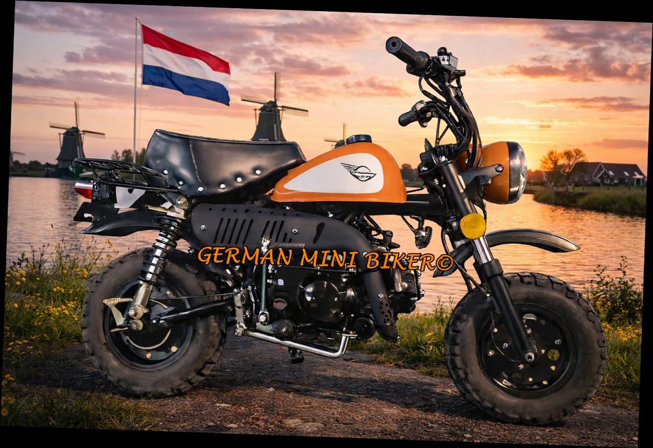 SkyTeam SKYMINI 50 E5 CLUB-Injektion Matt-Orange de Luxe 