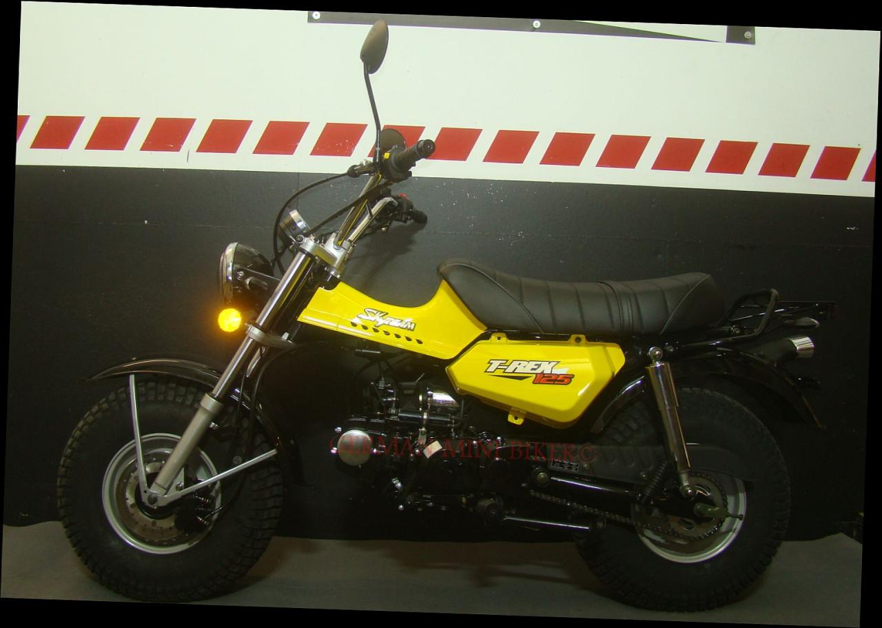 T-REX 125 E5 CLUB-INJECTION Yellow Sitz Schwarz