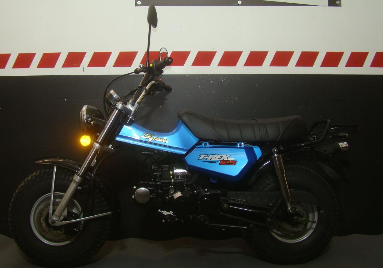 T-REX 125 E5 CLUB-INJECTION METALLIC-BLUE 