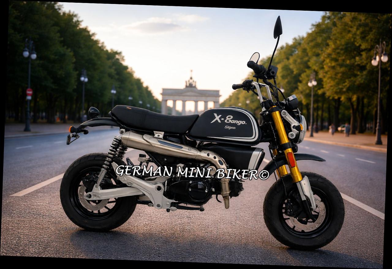 Skyteam - X-BONGO 50 MATT-BLACK E5+ NEUHEIT 2026 