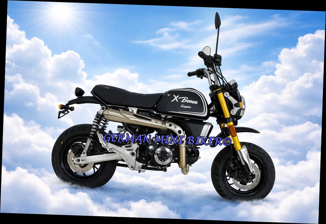 Skyteam - X-BONGO 125 ABS MATT-BLACK E5+ -Angebot d. Monats- 