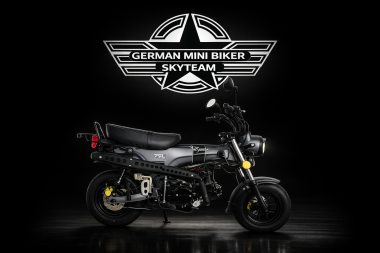 SKYTEAM SKYMAX 125-6 CLUB-S E5+ INJECTION de LUXE MATT-TITAN 