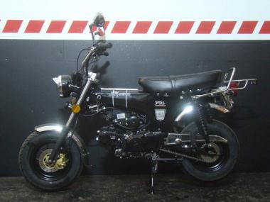 SKYTEAM  SKYMAX 125-6 CLUB-S E5 INJECTION de LUXE METALLIC-BLACK -ANGEBOT DES MONATS- 