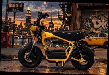 E-Max 50 Yellow-Edition mit Klapplenker! 