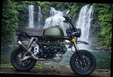 SKYTEAM SKYBONGO 50 12zoll Inj. E5+ SPECIAL-EDITION 