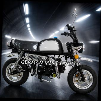 SkyTeam SKYBONGO 50 E5 10zoll Club-Injektion Matt-Black-Edition de Luxe 