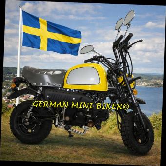 SKYTEAM SKYBONGO 50 E5 CLUB-Injektion Yellow-Edition de Luxe 