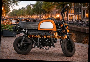 SKYTEAM SKYBONGO 50 E5 CLUB-Injektion Orange-Edition de Luxe 