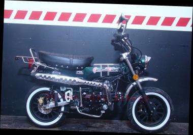 SKYTEAM  SKYMAX 125-6 E5+ 12zoll SPECIAL-EDITION Racing-Green-Metallic 