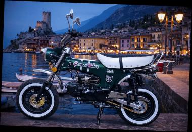 SKYTEAM  SKYMAX 125-6 E5+ 12zoll SPECIAL-EDITION Racing-Green-Metallic 