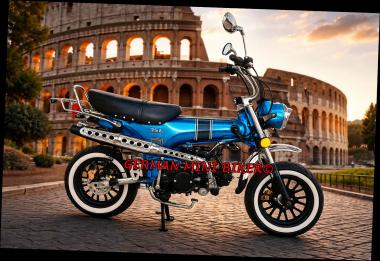 SKYTEAM  SKYMAX 125-6 E5+ 12zoll SPECIAL-EDITION Met-Blau 