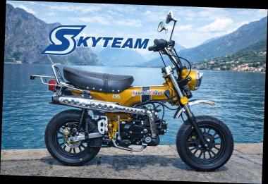SKYTEAM  SKYMAX 125-6 E5+ 12zoll SPECIAL-EDITION Metallic-Gold 