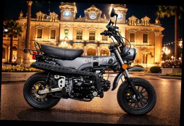 SKYTEAM  SKYMAX 125-6 E5+ 12zoll SPECIAL-EDITION Matt-Titan 