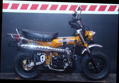 SKYTEAM  SKYMAX 125-6 E5+ 12zoll SPECIAL-EDITION Metallic-Gold 