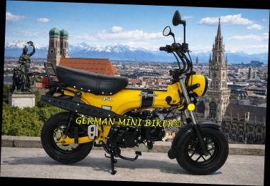 SKYTEAM SKYMAX 125-6 CLUB-S E5+ INJECTION de LUXE NEU MATT-YELLOW 