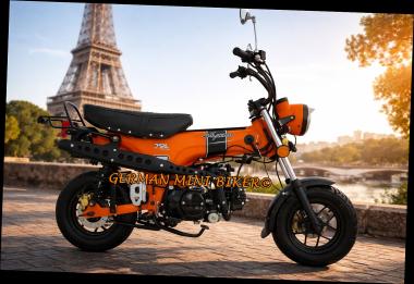 SKYTEAM  SKYMAX 125-6 CLUB-S E5+ INJECTION de LUXE MATT-ORANGE Sitz in Schwarz